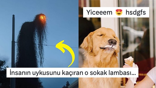 Fotoğraf Çekmek İsterken Yanlışlıkla Rönesans Tablosu Yaratan Kişilerden Muazzam Kareler