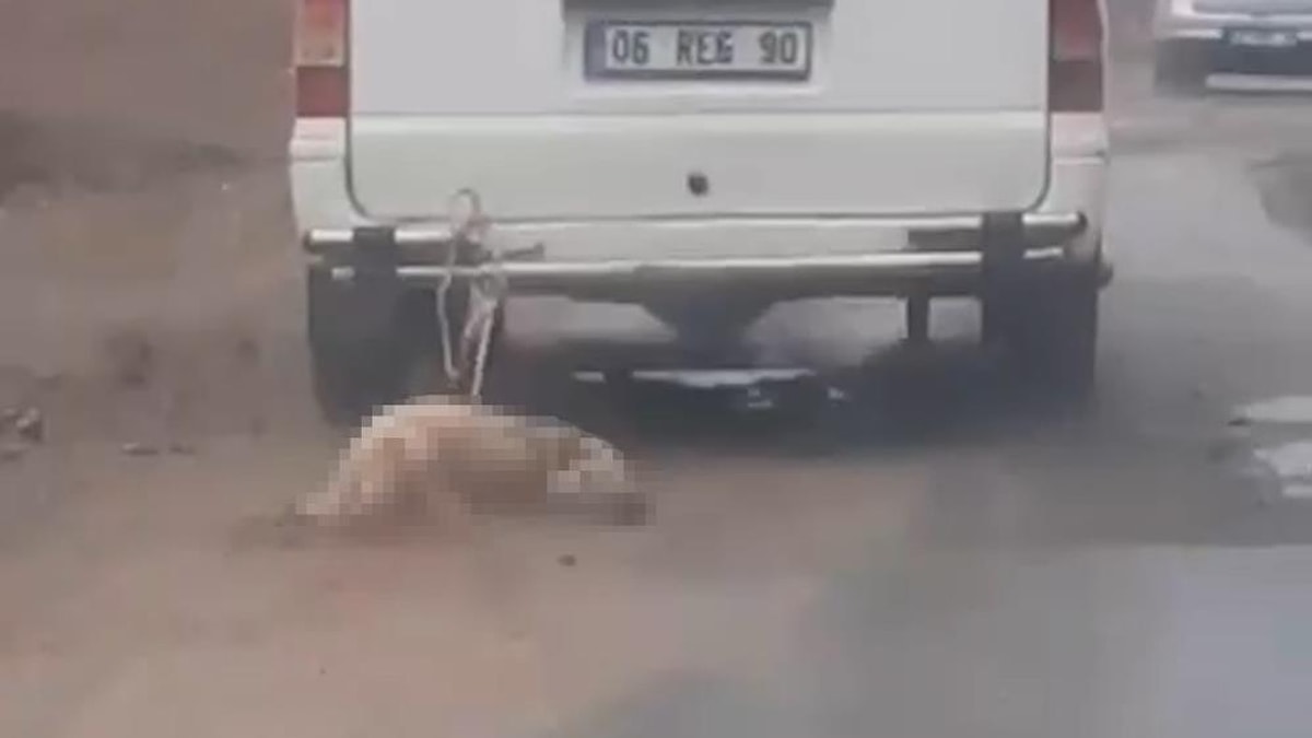 Minib�s�n Arkas�na Ba�lad��� K�pe�in Cans�z Bedenini Kilometrelerce S�r�kledi