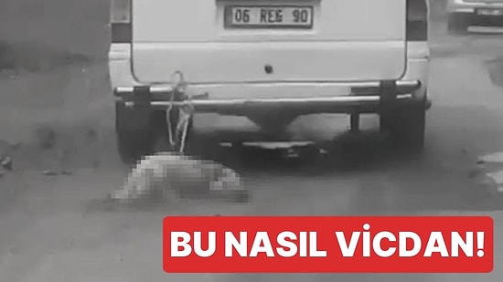 Minibüsün Arkasına Bağladığı Köpeğin Cansız Bedenini Kilometrelerce Sürükledi