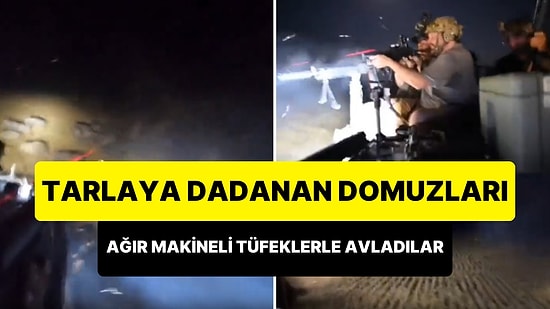 Tarlaya Dadanan Domuzlara Ağır Makineli Tüfeklerle Savaş Açan ABD'li Çiftçiler