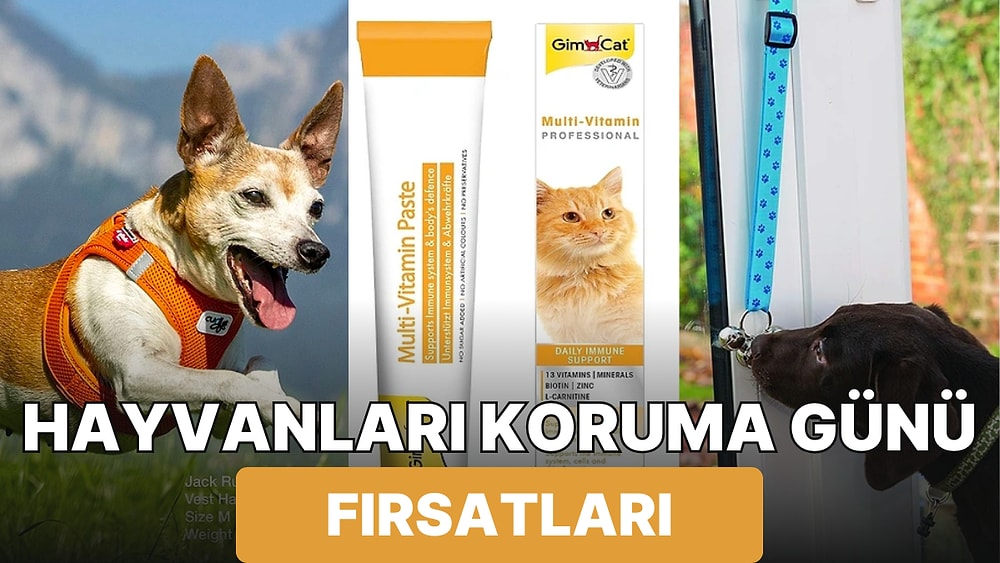 Hayvanları Koruma Günü'ne Özel Fırsatlar Arasında Patili Dostunuza Alabileceğiniz Ürün Önerileri