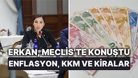 TCMB Başkanı Hafize Gaye Erkan, Meclis'te Enflasyonda Düşüş İçin Tarih Verdi