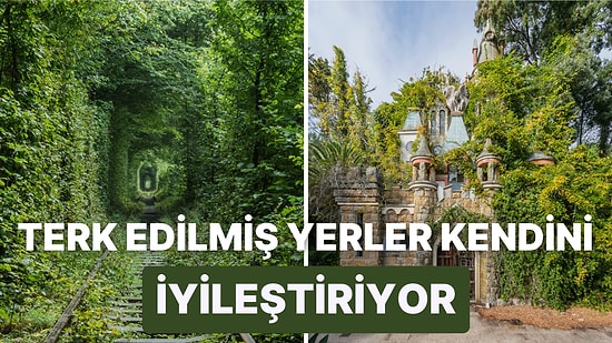 'İnsanlık Aniden Yeryüzünden Kaybolsa Ne Olurdu?' Sorusunu Çektiği Fotoğraflarla Cevaplayan Sanatçıdan 25 Kare