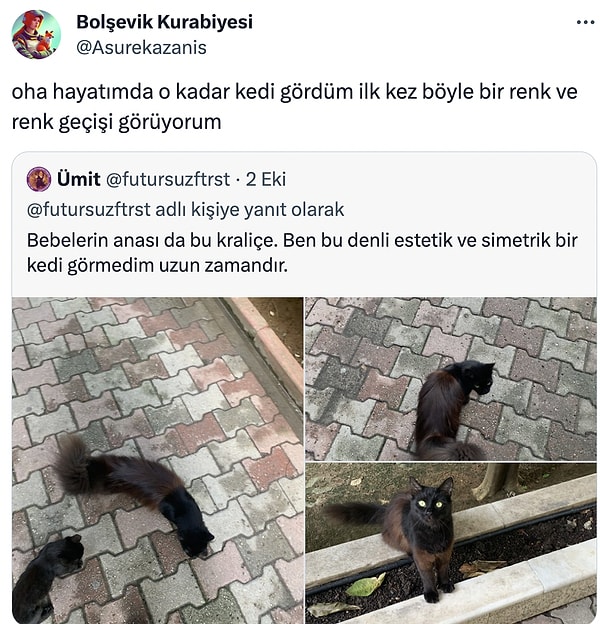 Kuaför Sabit bile bu geçişi yapamaz.