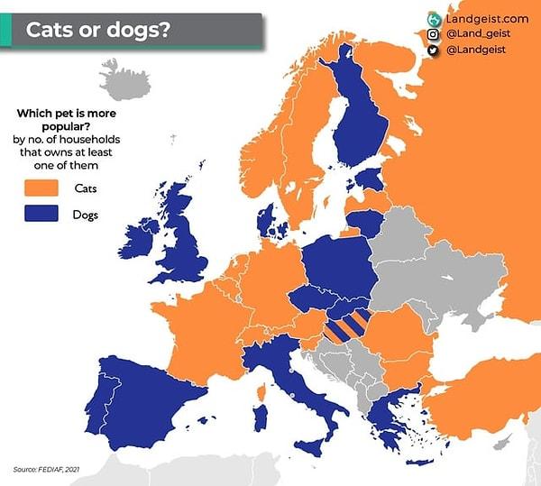 14. Avrupalılar neyi tercih ediyor? Kedi mi köpek mi?