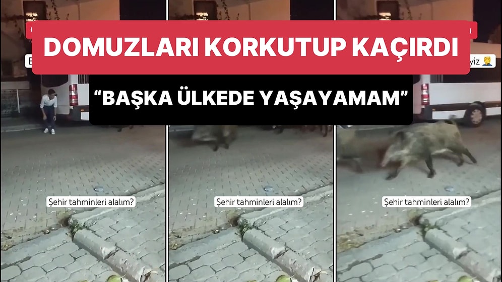 Şehre İnen Domuzları Korkutan Yurdum İnsanının 'Başka Ülkede Yaşayamam' Dedirten Anları
