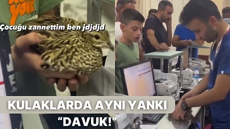 Nöbetçi Veteriner Bulamayınca Olanlar Oldu! Kuşu ile Acile Dayanan Aile Dejavu Yaşattı!