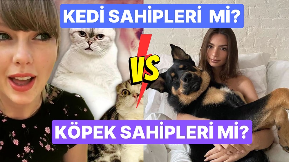 Kedi İnsanı vs. Köpek İnsanı Tartışmasına Son Noktayı Bilim Koydu: Kim Daha Zeki?