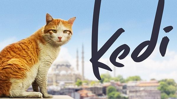 Türk film yönetmeni Ceyda Torun da "Kedi" isimli belgeselinde benzer bir fenomene parmak basmıştı.