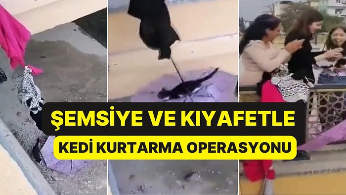 Tokat'ta Dere Kenarında Mahsur Kalan Kedinin Yardımına Vatandaşlar Koştu