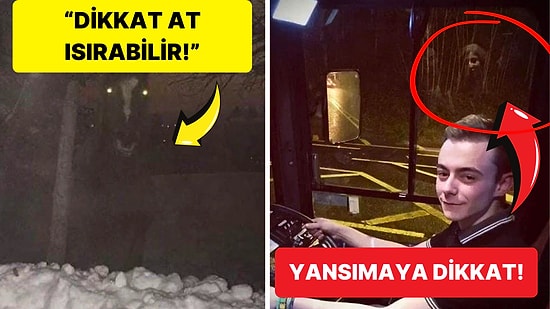 Hiç Kimsenin Görmemesi Gerekiyormuş Gibi Hissettiren Rahatsız Edici 15 Fotoğraf İçinizi Ürpertecek!