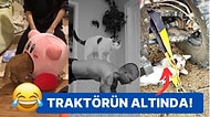 Kedilerin Olmaktan Asla Korkmadıkları Birbirinden İlginç 15 Yer