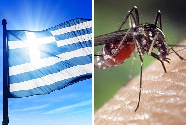 Yunanistan'da Batı Nil Virüsü nedenli ölümlerin sayısı 19'a yükseldi. Yunanistan Ulusal Kamu Sağlığı Kurumu'nun açıklamalarına göre son bir haftada 9 yeni Nil Virüsü vakası tespit edildi. Vakaların artacağı tahmin ediliyor.