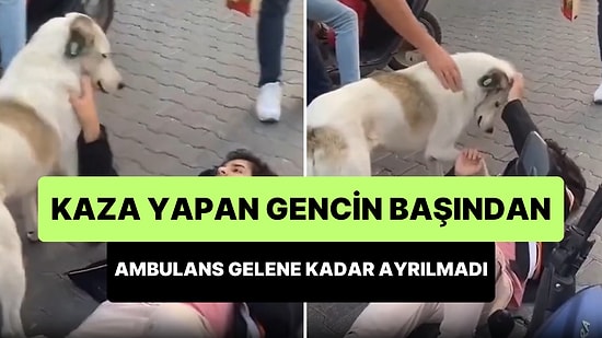 Kaza Yapan Gencin Başından Ambulans Gelene Kadar Ayrılmayan Sokak Köpeği