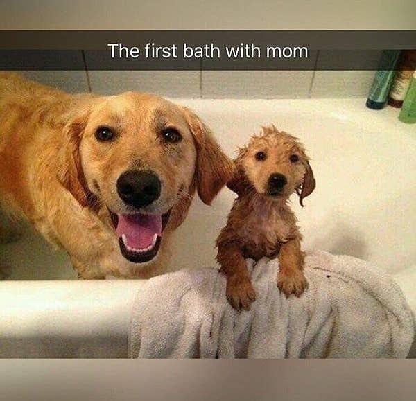 14. Anneyle ilk banyo! 😍