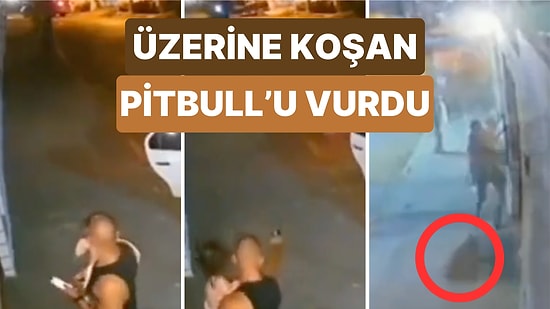 Bir Baba Kucağında Kızı ile Yürürken Üzerlerine Koşan Pitbull Cinsi Köpeği Vurdu