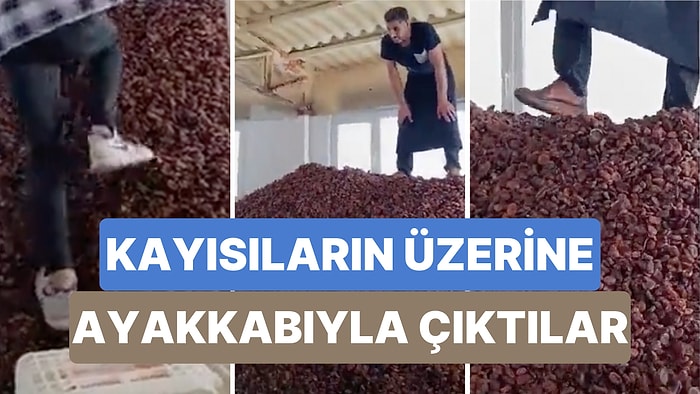 Bir Kayısı Üretim Merkezinde Tepki Çeken Görüntüler! Kayısıların Üzerine Ayakkabı ile Çıktılar