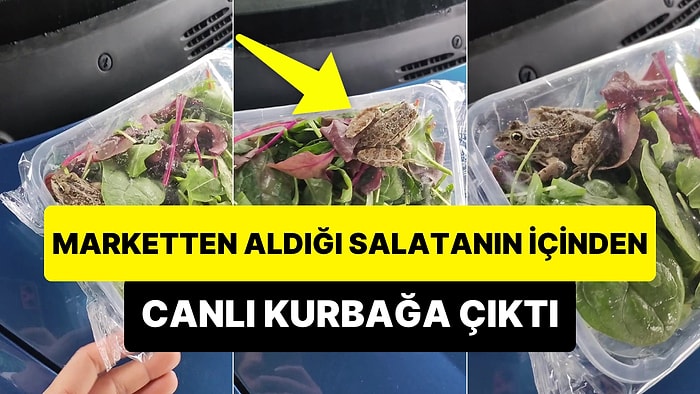 Marketten Aldığı Kapalı Salatanın İçerisinden Canlı Kurbağa Çıkan Kadın Şoke Oldu!