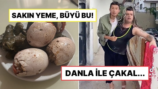 Danla ve Çakal Uyumundan Azalan Erkek Nüfusuna Son 24 Saatin Twitter'da Viral Olan Paylaşımları