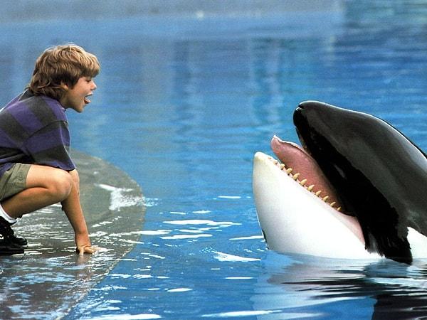 5. Willy in 'Free Willy' (1993)