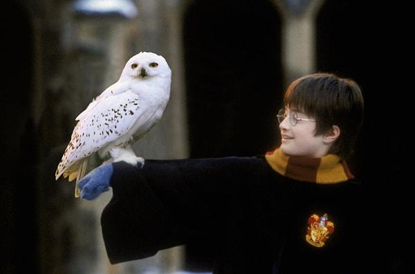7. Hedwig in 'Harry Potter and the Sorcerer's Stone' (2001)