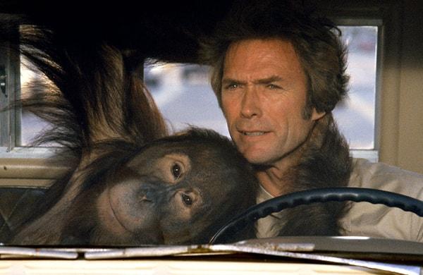9. The Orangutan in 'Every Which Way But Loose' (1978)