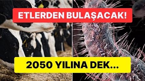 Dünya Yeni Salgın Paniği ile Alarma Geçti: Türkiye için Acil Önlem Çağrısında "10 Milyon İnsan Ölecek" Denildi