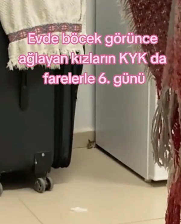 Üniversitelerin açılmasıyla birlikte yurtlardan gelen videolar da artışa geçti.