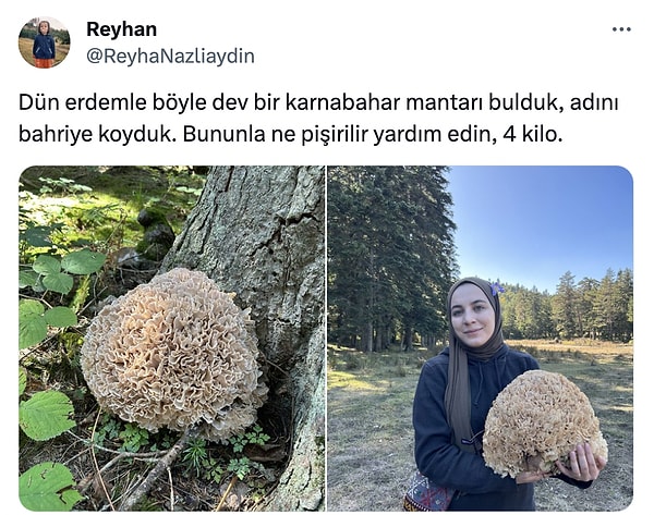 Maşallah tosun gibi!