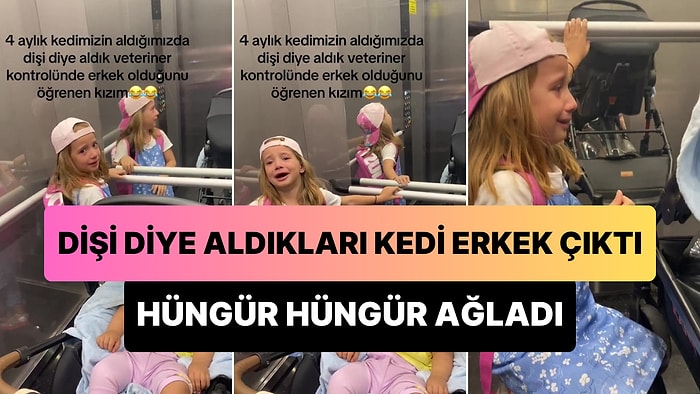 Dişi Diye Aldıkları Kedi Veterinerde Erkek Çıkınca Hüngür Hüngür Ağlayan Ufaklık