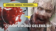 Bilim İnsanları, Küresel Isınma Yüzünden Ortaya Çıkabilecek "Zombi Virüsü" İçin Herkesi Uyardı!