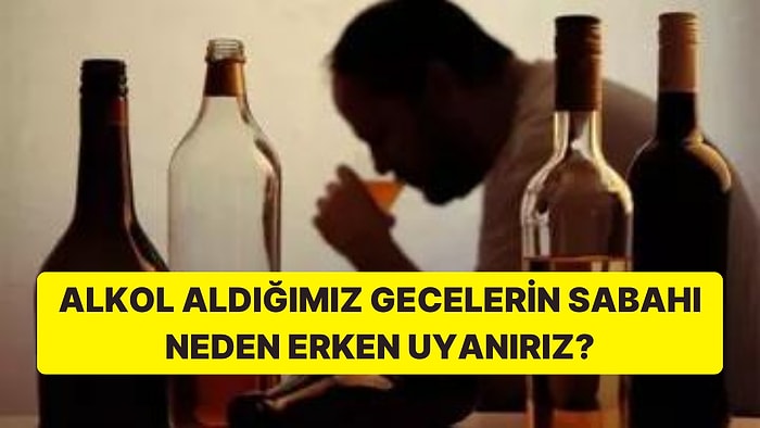 Alkol Aldığımız Gecelerin Sabahında Neden Erkenden Uyanırız?