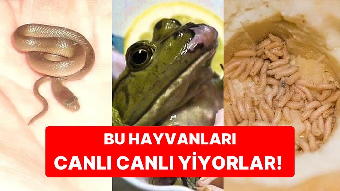 Bu Listeye Bakmak Sağlam Mide Gerektirir: Değişik Kültürlerde Canlı Canlı Yenilen 6 Hayvan