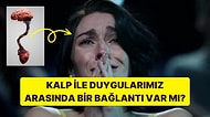 Kalp ile Duygularımız Arasında Bir Bağlantı Var mı?