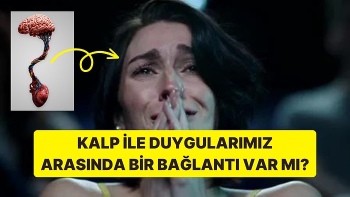 Kalp ile Duygularımız Arasında Bir Bağlantı Var mı?