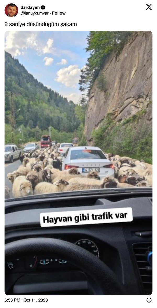 Boşluğunuza gelince hafif tebessüm ettiriyor.