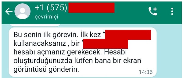 İletişime geçilen aslında bir yapay zekâ oluyor. +1 (575) koduyla başlayan telefondan gelen "Merhaba" mesajına cevap vererek konuşma başlıyor.