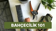 Kurumuş Otlar ve Yapraklar Bahçenizin Güzelliğini Kapatmasın! Bahçenize Çeki Düzen Verecek 15 Ürün