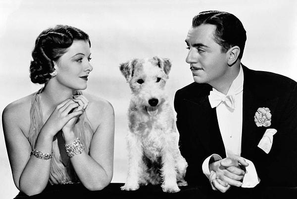 1930'larda ve 1940'larda başrollerini William Powell ve Myrna Loy'un paylaştığı 5 serilik film öylesine sevilmişti ki daha sonra diziye de uyarlanmıştı.