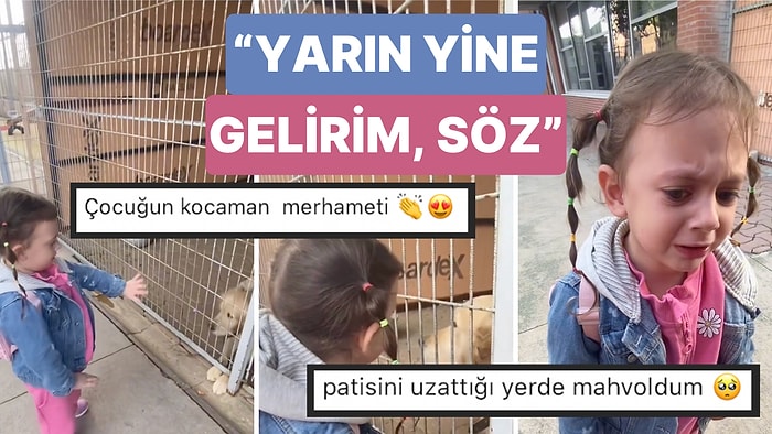 Okulundaki Köpeklerden Ayrılırken Duygusal Anlar Yaşayan Miniğin Göz Yaşları Kalplerinizi Isıtacak