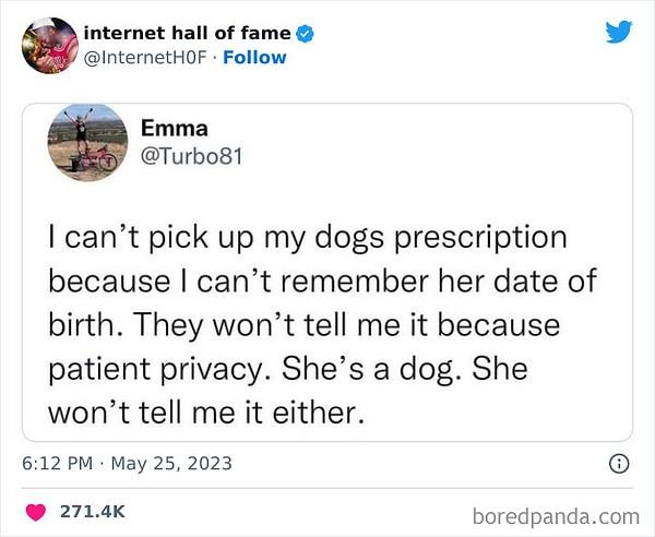7. "Köpeğimin doğum tarihini bilmediğim için reçetesini hiçbir zaman alamıyorum. Özel bi' bilgi olduğu için veteriner de söylemiyor. Ben de bilmiyorum çünkü köpeğim de bana söylemedi."
