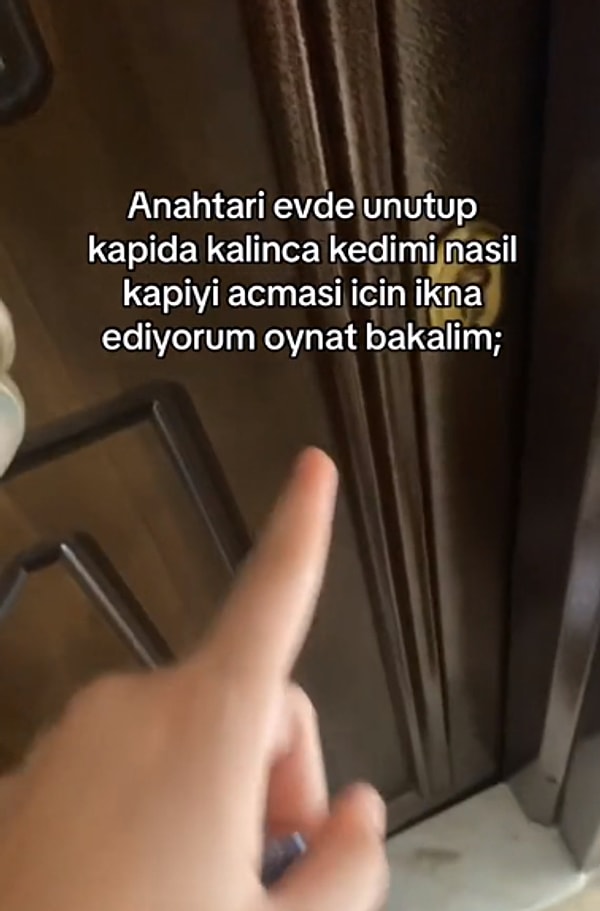 Kedilerin uzaylı olduğunu düşünenlerin de olduğu bu dünyada neredeyse onları destekleyecek bir video sosyal medyada viral oldu.