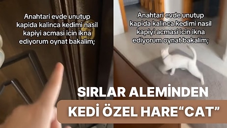 Kedilerin Yapmadığı Bir Bu Kalmıştı Diyeceksiniz! Sahibi Kapıda Kalan Kedi Kapıyı Açtı