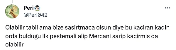 Teori hakkında gelen yorumlar ise şu şekilde 👇