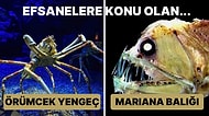 Okyanusun O Kadar Derininde Yaşıyorlar ki Gün Işığını Hiç Görmediler! Karanlığın 16 Korkunç Hayvanı