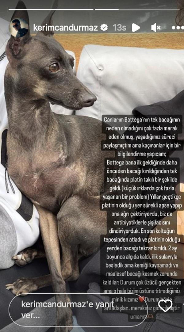 7. Kerimcan Durmaz, köpeği Bottega'nın neden bacağının Ampute edildiğini açıkladı.
