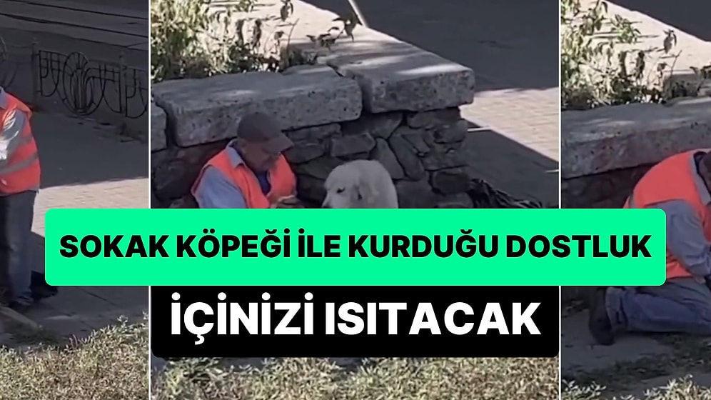 Sokak Köpeği ile Kurduğu Arkadaşlık ile İzleyenleri Yumuşacık Yapan Temizlik İşçisi