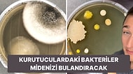 Temiz Diye Düşündüğümüz El Kurutucularının Barındırdığı Bakterileri Görünce Mideniz Altüst Olacak