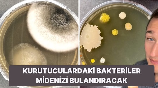 Temiz Diye Düşündüğümüz El Kurutucularının Barındırdığı Bakterileri Görünce Mideniz Altüst Olacak