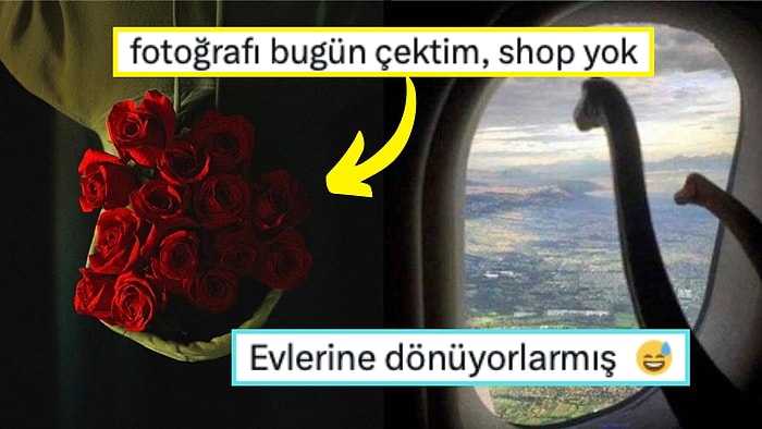 Fotoğraf Çekmek İsterken Yanlışlıkla Rönesans Tablosu Yaratan Kişilerden Muazzam Kareler